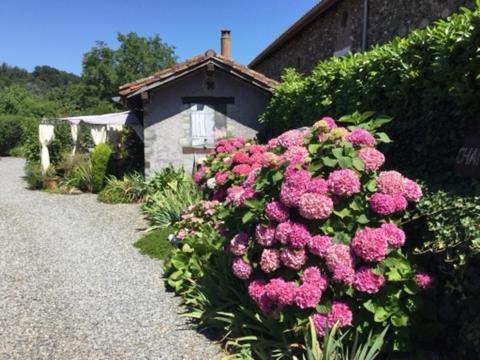 Loft Atypique Bed and Breakfast Villeneuve-de-Rivière Εξωτερικό φωτογραφία